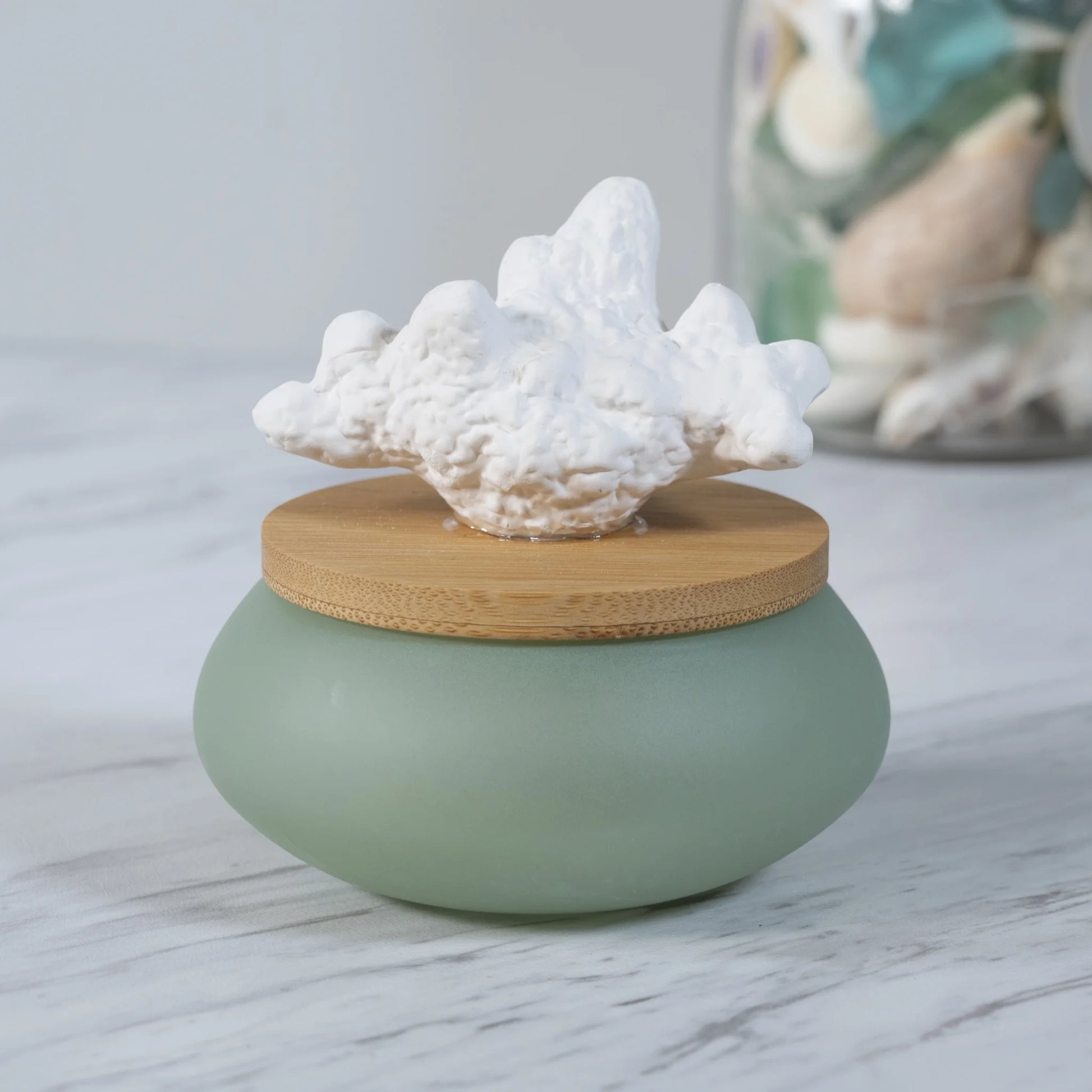 Wicking Ceramic Diffuser, Sea Glass Coral